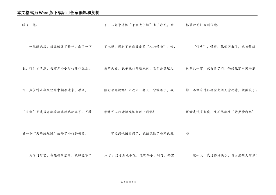 自由的星期天_第2页