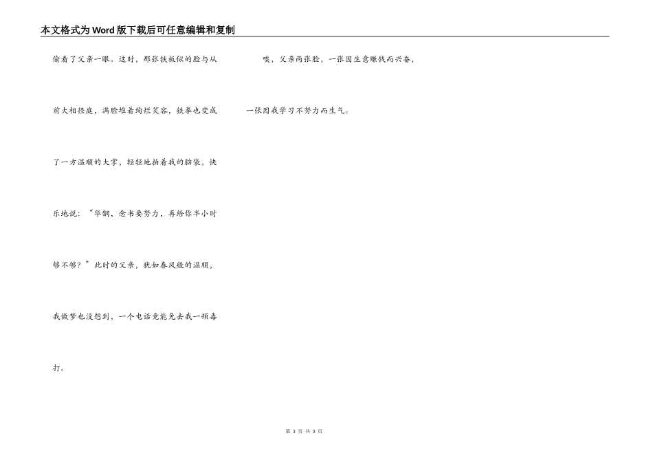 父亲的两张脸_第3页