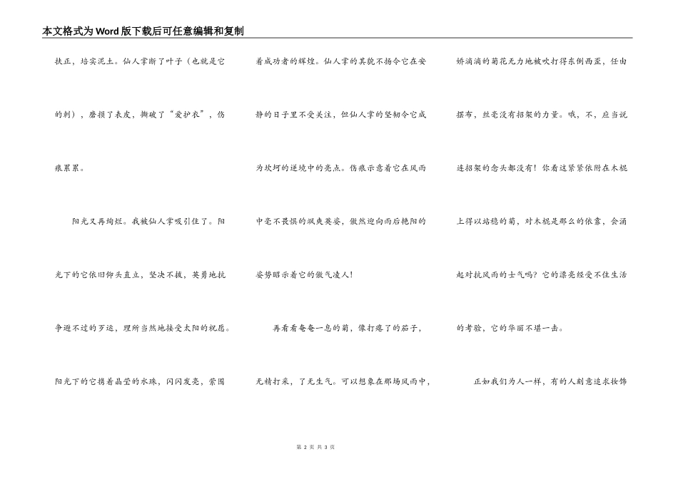 虹彩是悲壮的！_第2页