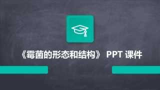 《霉菌的形态和结构》PPT课件