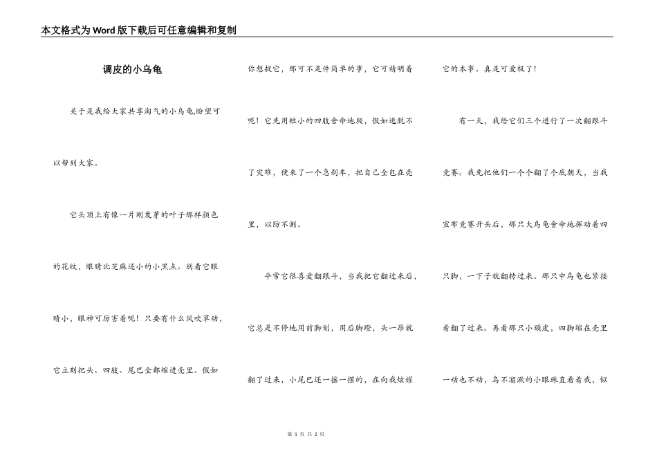调皮的小乌龟_第1页