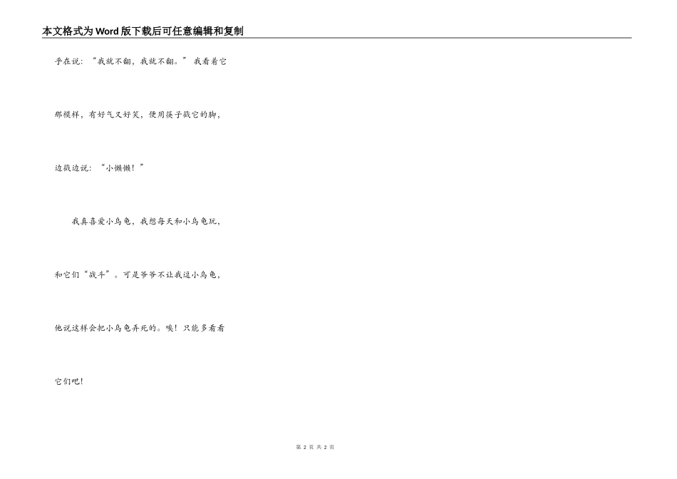 调皮的小乌龟_第2页