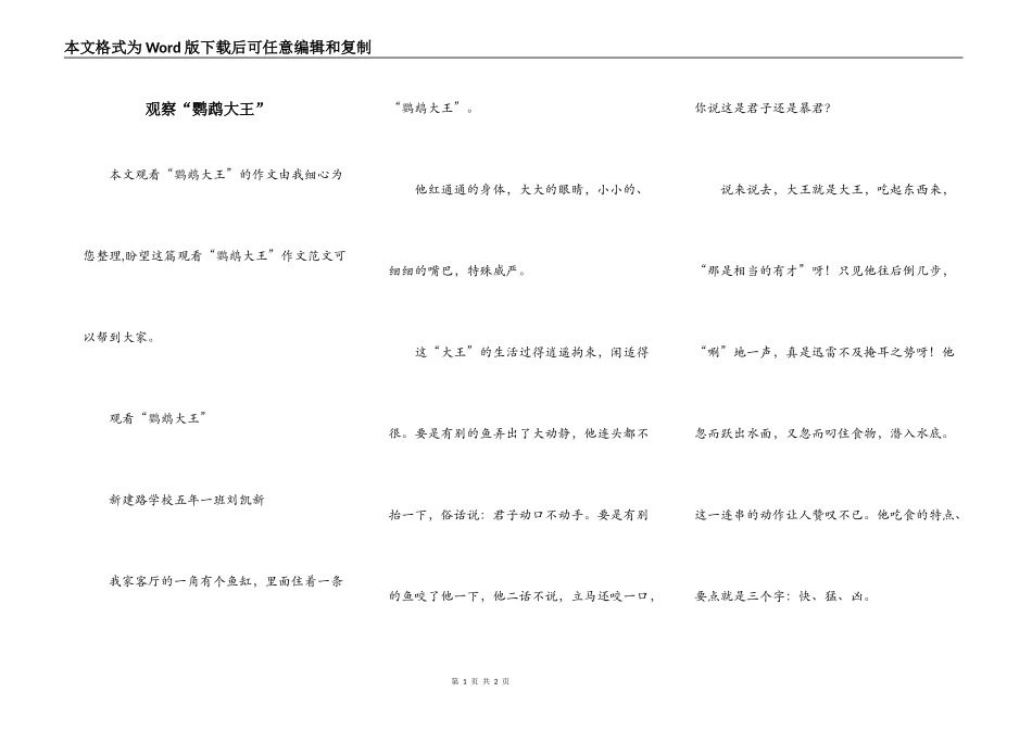 观察“鹦鹉大王”_第1页