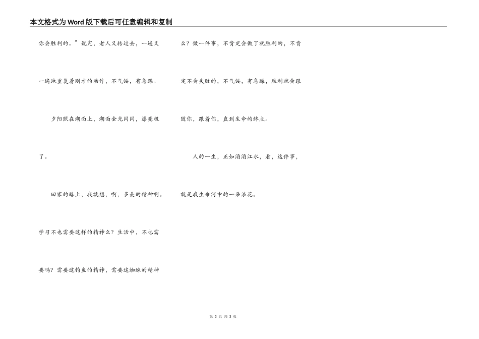 生命里的一朵浪花_第3页