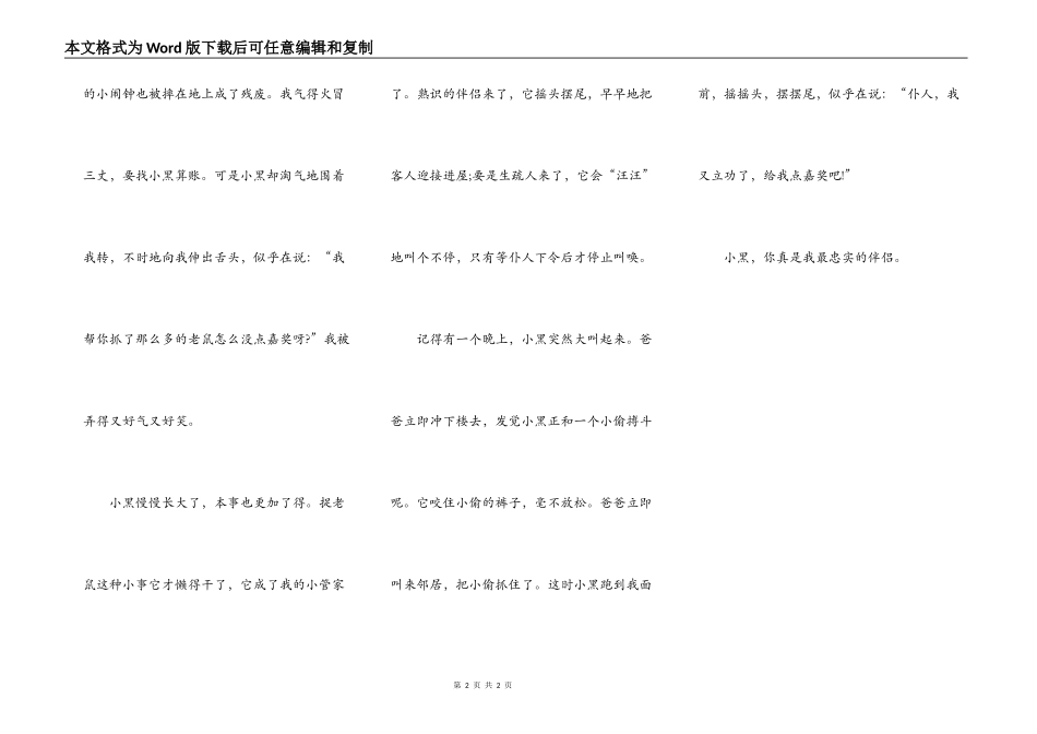我忠实的朋友——小黑_第2页