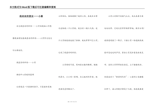 我忠实的朋友——小黑