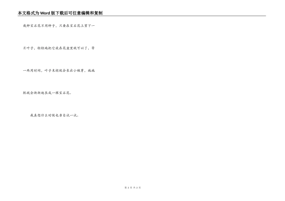 我最喜爱的花—宝石花_第2页