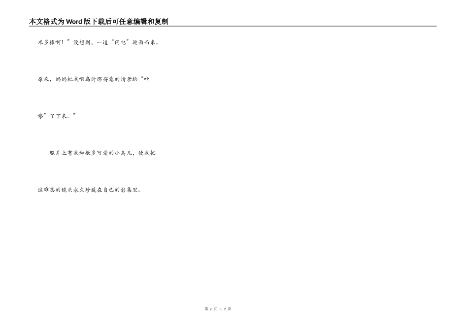 我珍藏的一张照片_第2页