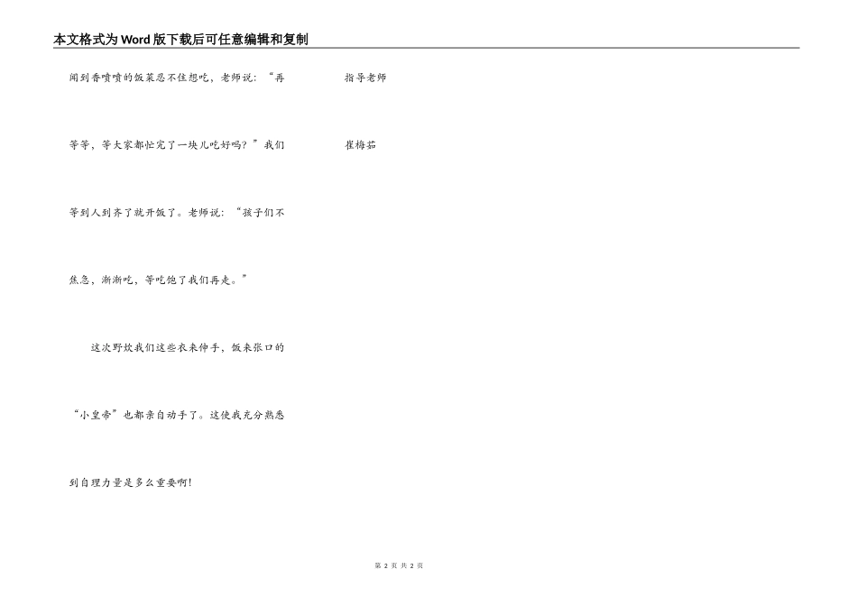 有趣的野炊活动_第2页