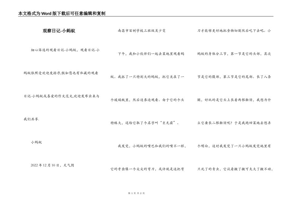 观察日记-小蚂蚁_第1页