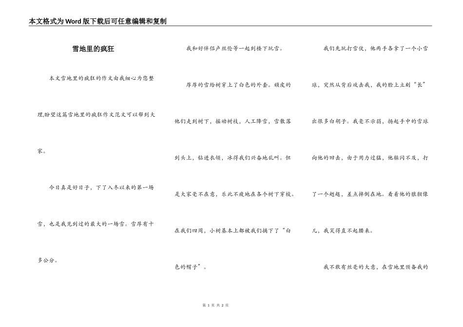 雪地里的疯狂_第1页