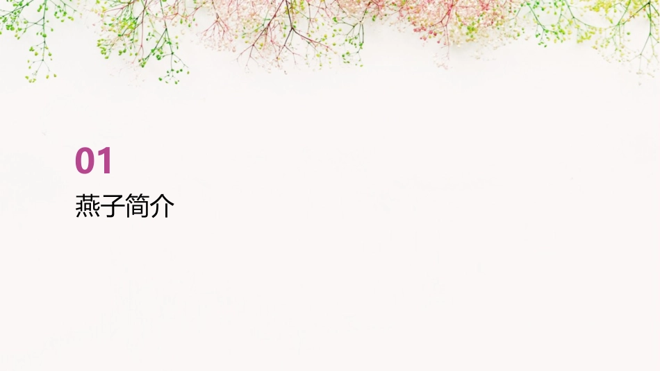 教育燕子课件_第3页