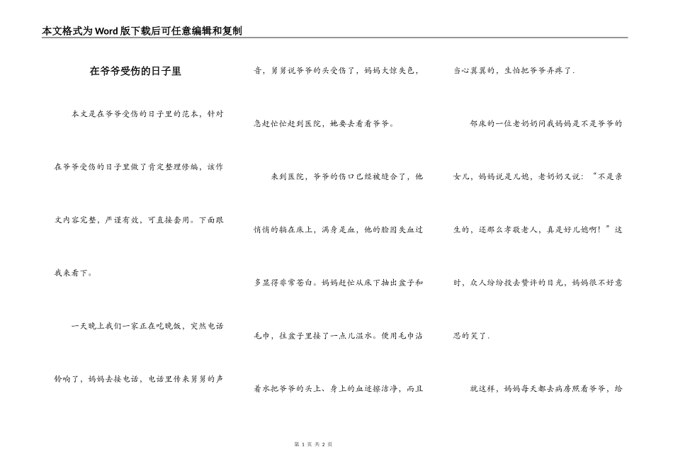 在爷爷受伤的日子里_第1页
