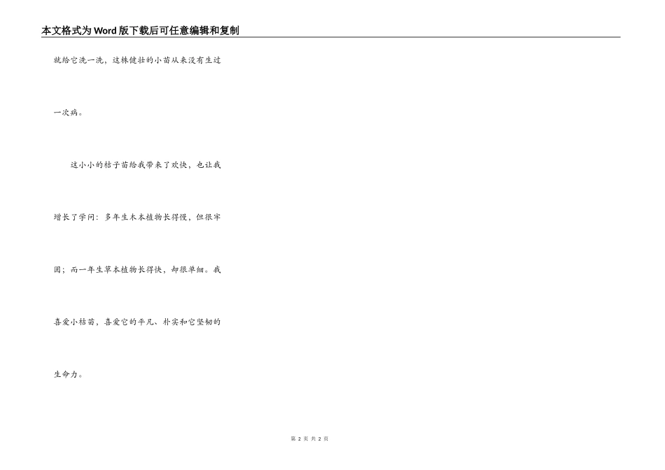 神奇的桔子苗_第2页