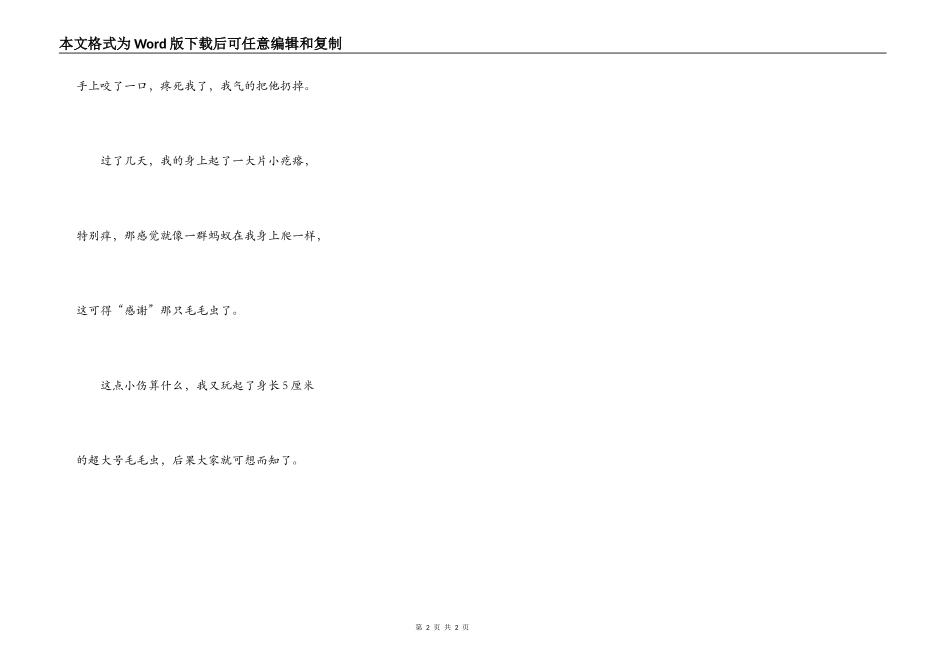 毛毛虫,我的最爱_第2页