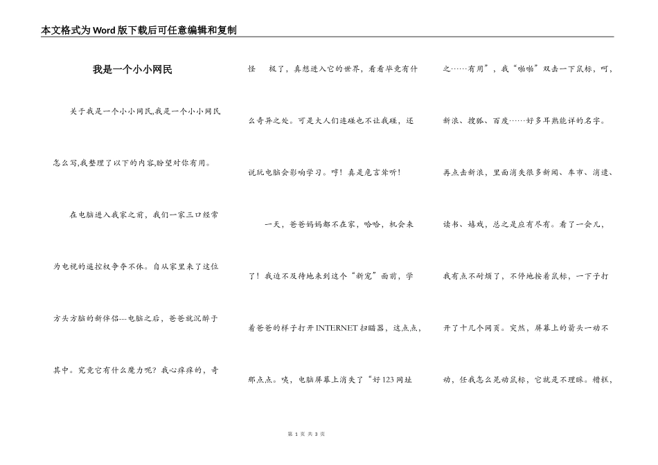 我是一个小小网民_第1页