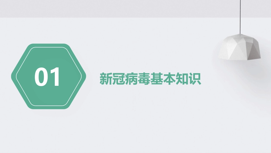 新冠肺炎防控知识培训_第3页