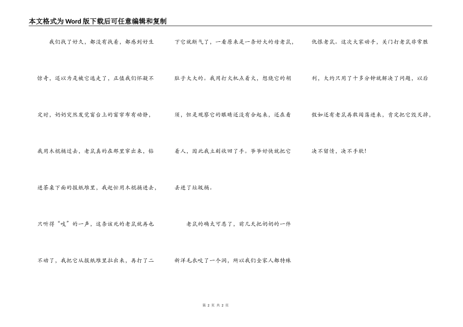 该死的母老鼠_第2页