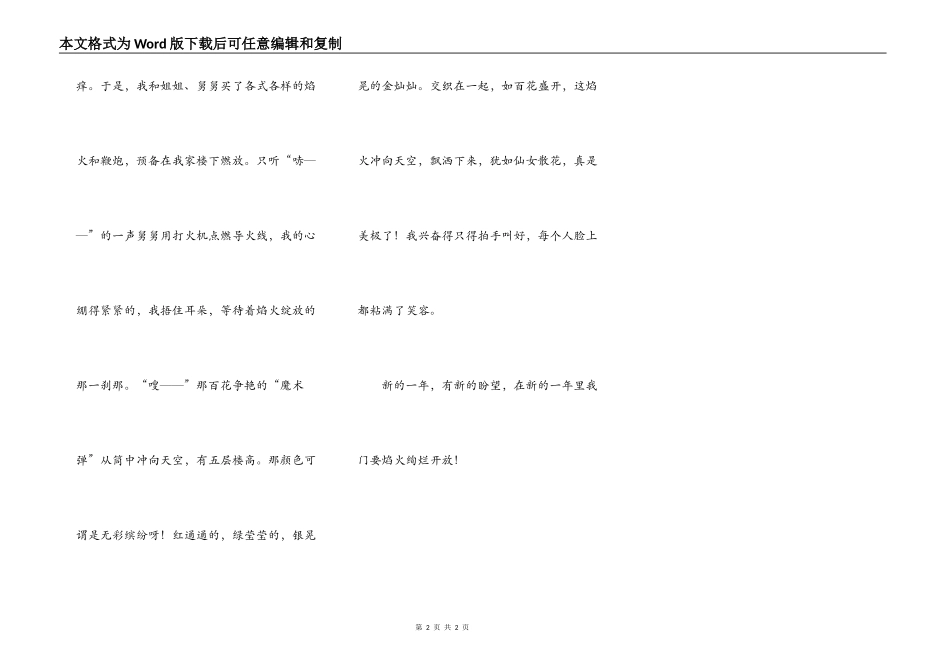寒假里的一件事——放鞭炮_第2页