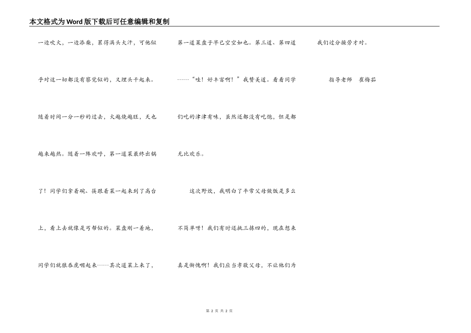 有意义的野炊_第2页