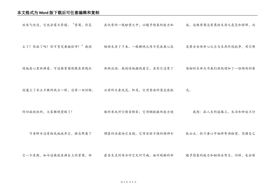 那株不寻常的紫菊_第2页