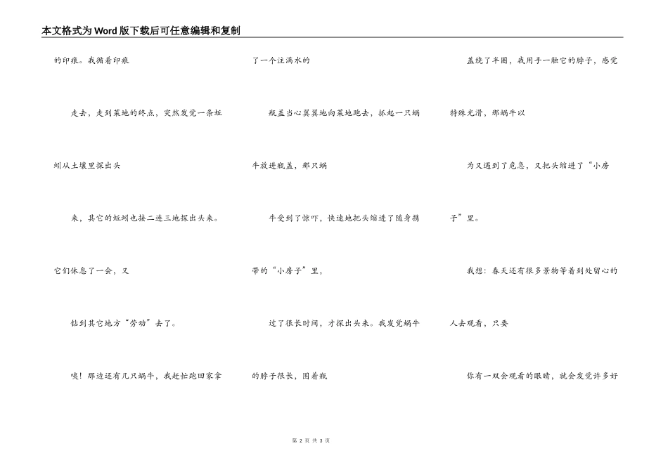 菜地里的发现_第2页