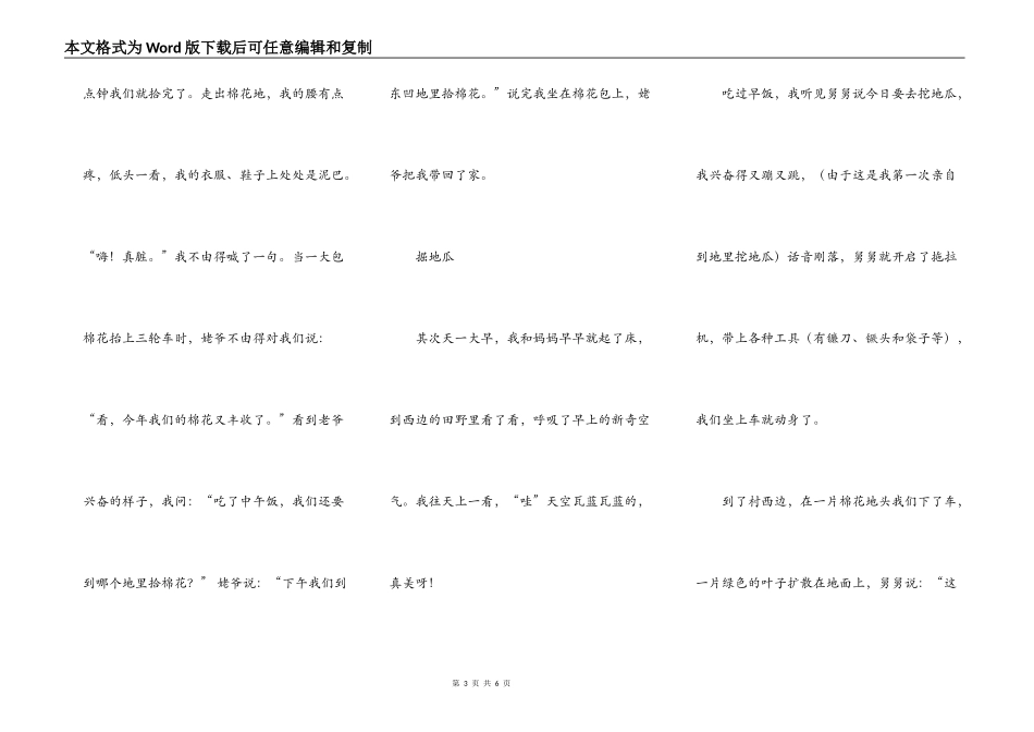 难忘的乡村生活_第3页