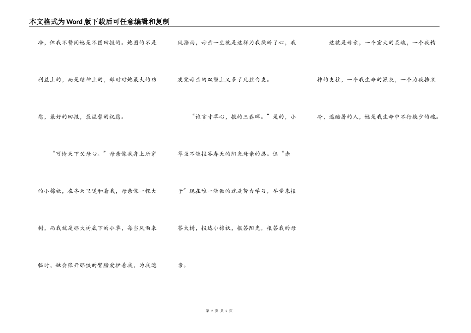 生命中的魂——母亲_第2页