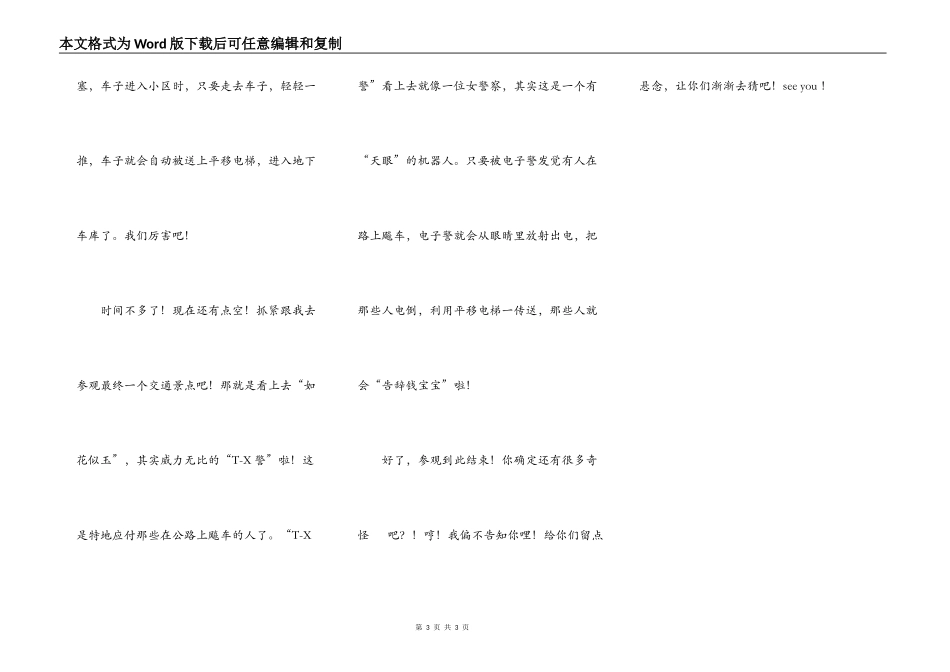未来的交通治安_第3页