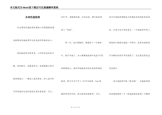 未来的盗版商