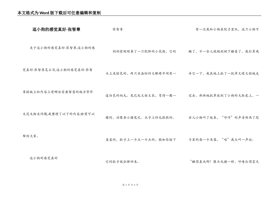 逗小狗的感觉真好-张智尊_第1页