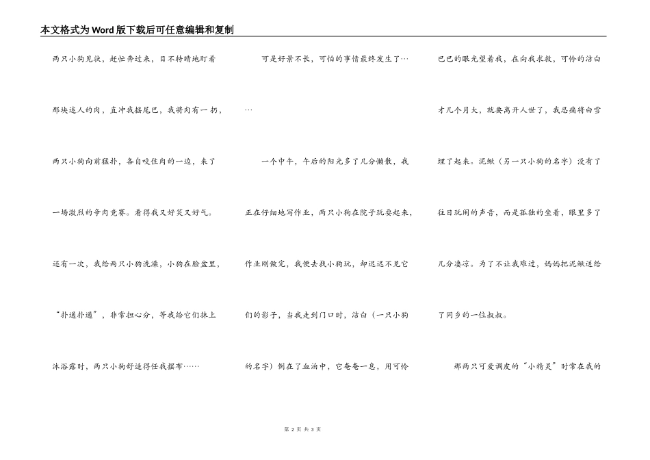 那年，那月，那两只小狗_第2页