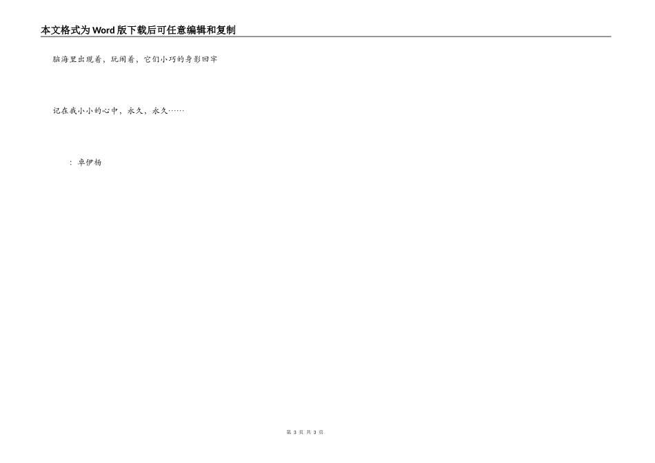 那年，那月，那两只小狗_第3页