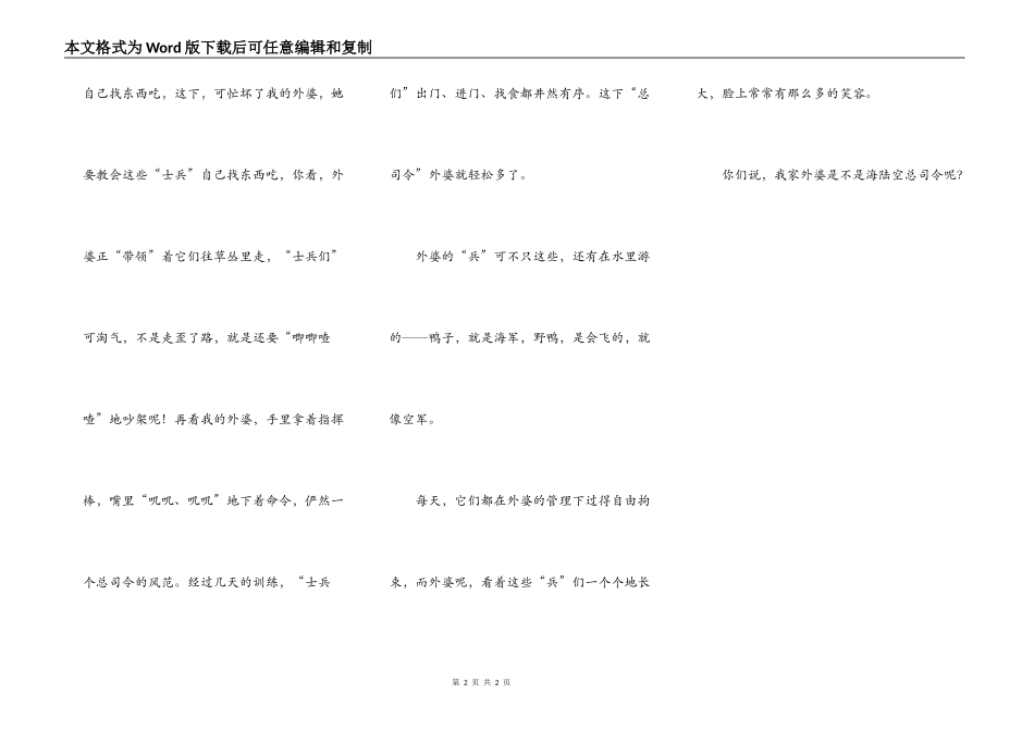 海陆空总司令_第2页