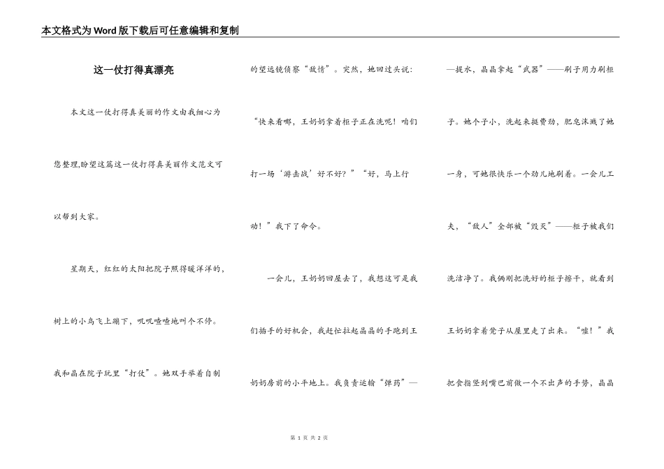 这一仗打得真漂亮_第1页