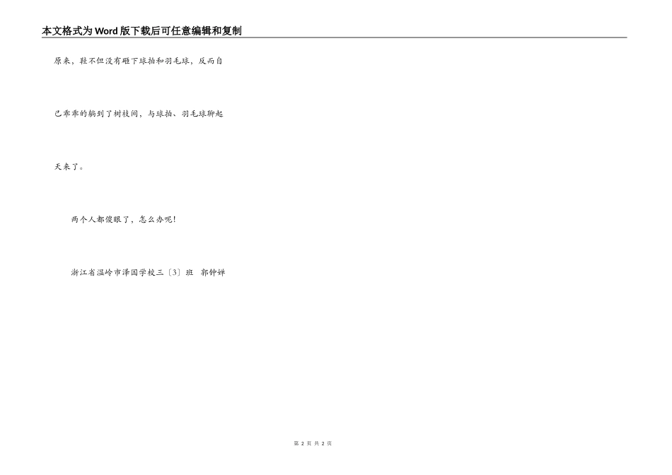 打羽毛球的意外_第2页