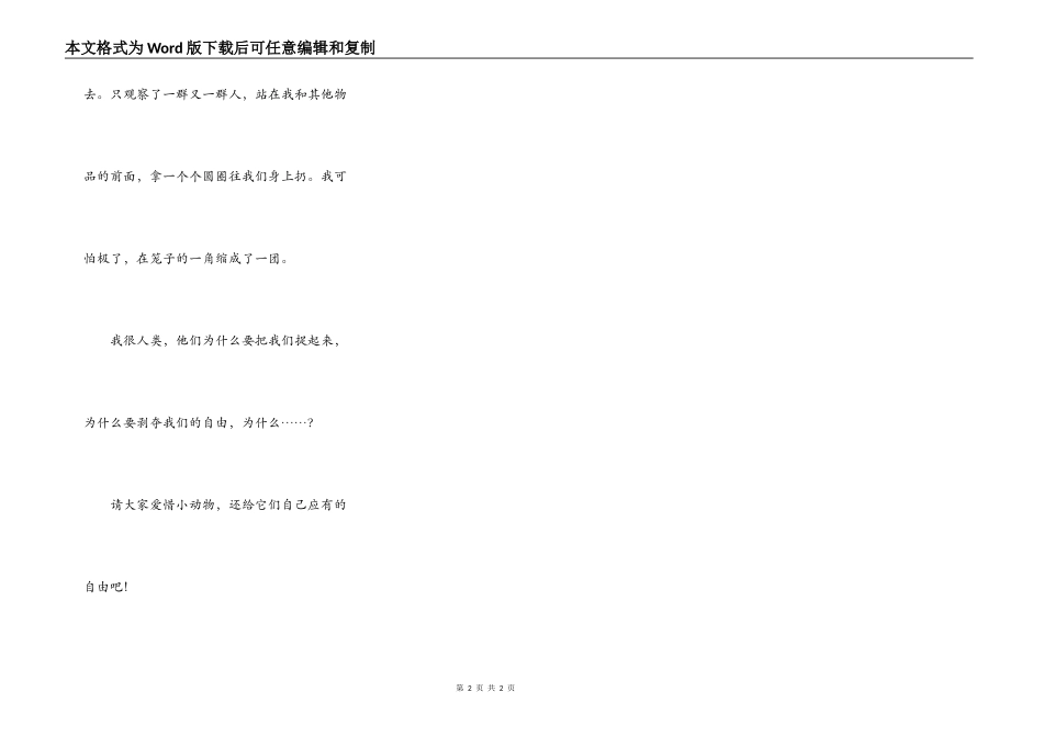 一只小白兔的自述_第2页