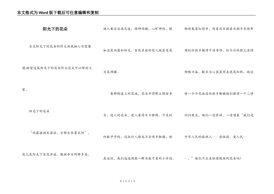 阳光下的花朵_第1页