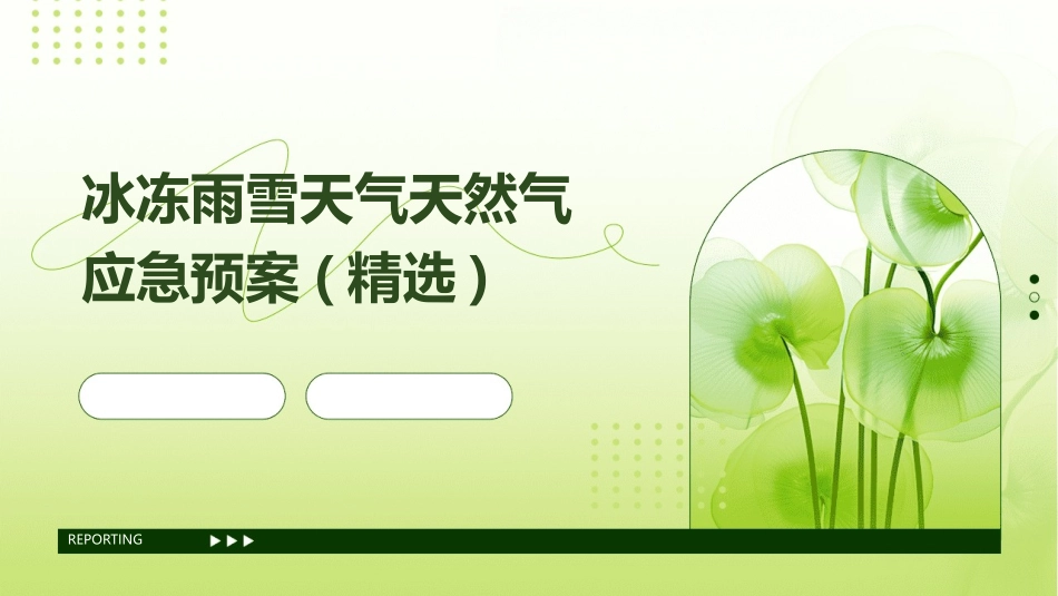 冰冻雨雪天气天然气应急预案(精选)_第1页
