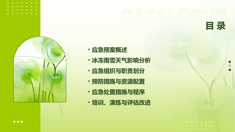 冰冻雨雪天气天然气应急预案(精选)_第2页