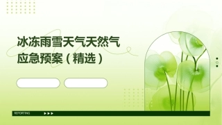 冰冻雨雪天气天然气应急预案(精选)