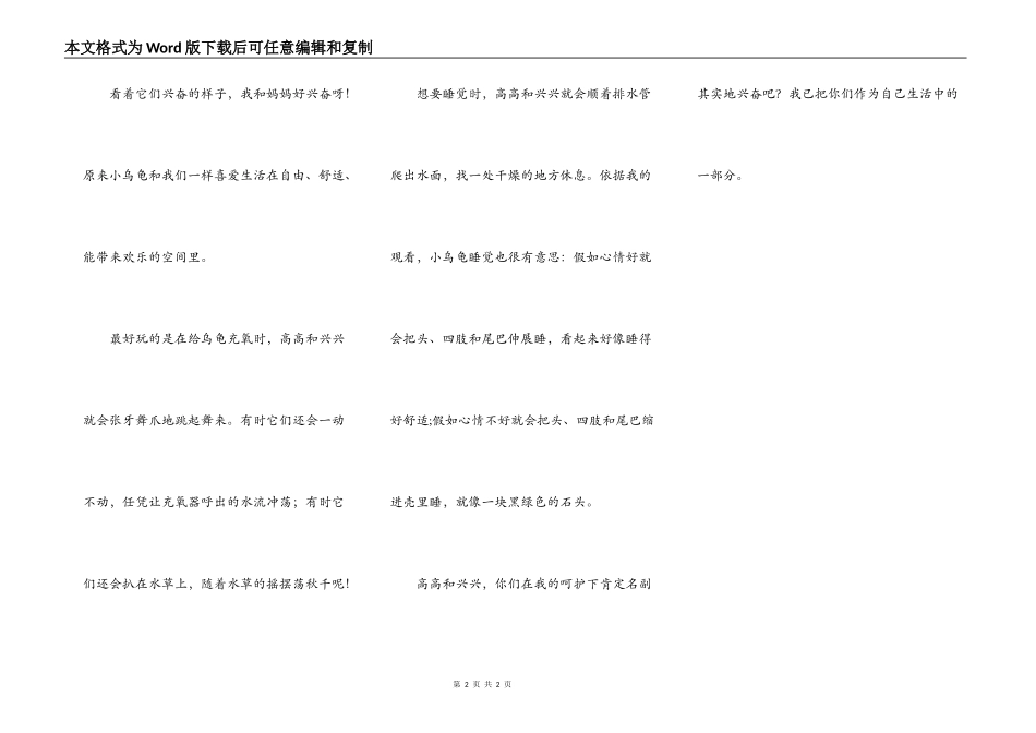 高高兴兴小乌龟_第2页