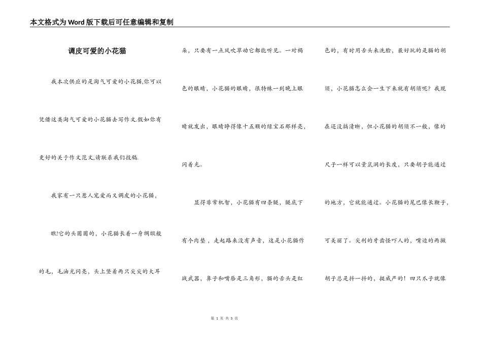 调皮可爱的小花猫_第1页