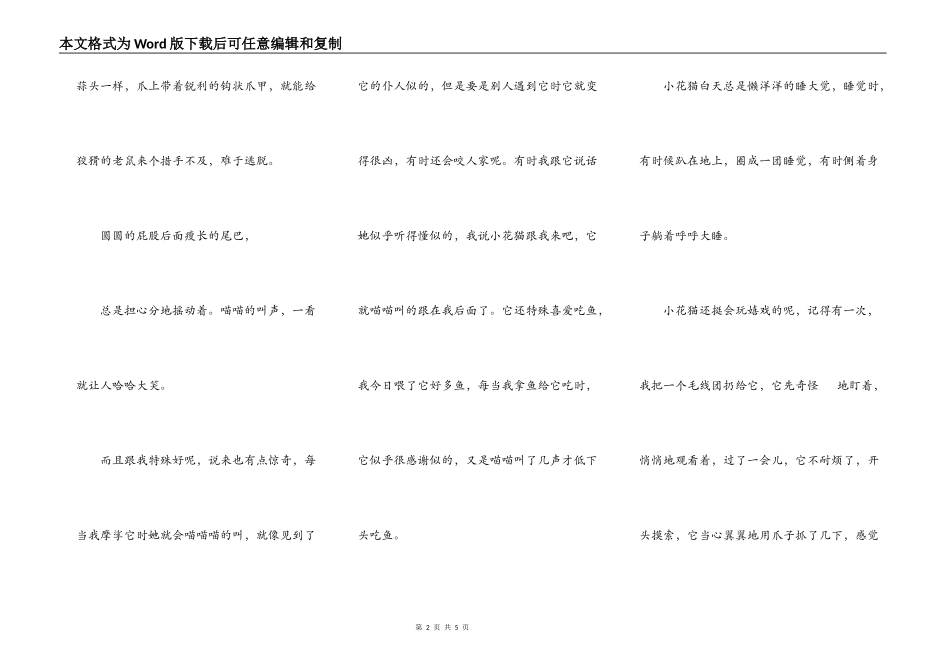 调皮可爱的小花猫_第2页