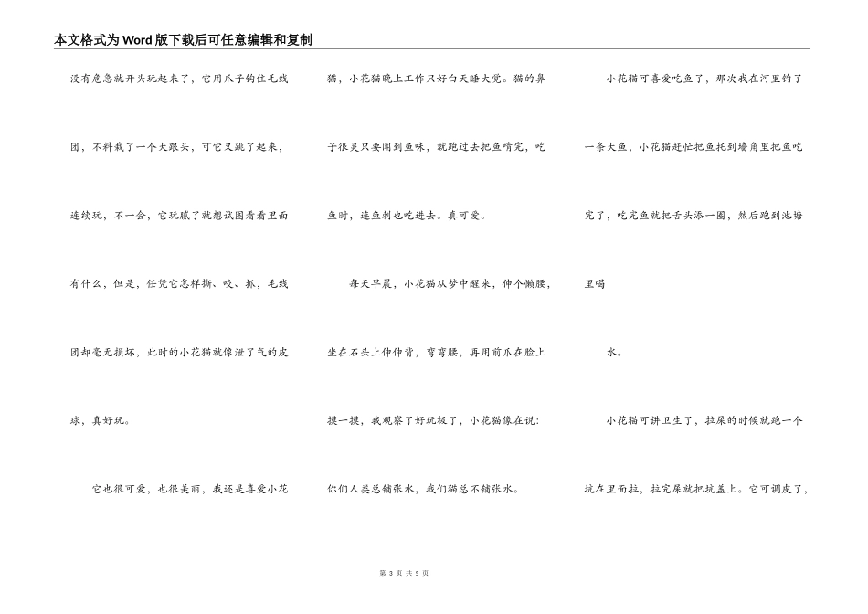 调皮可爱的小花猫_第3页