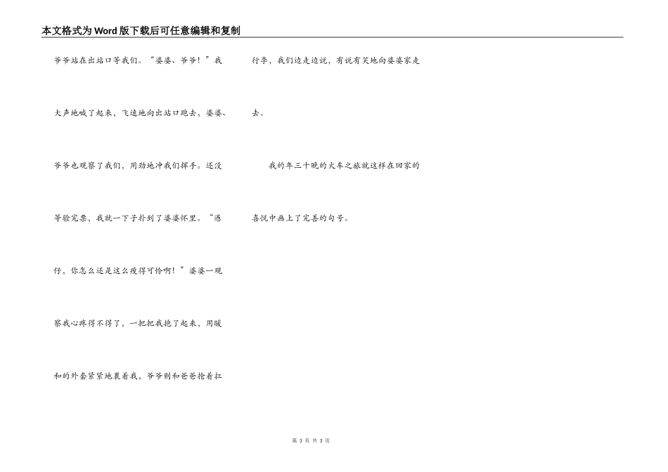 年三十晚的火车之旅_第3页