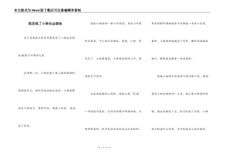 我发现了小狗也会游泳
