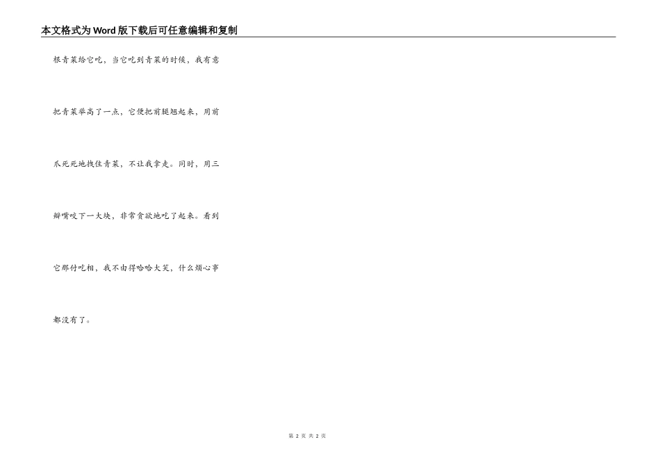 我喜欢的动物——小兔_第2页