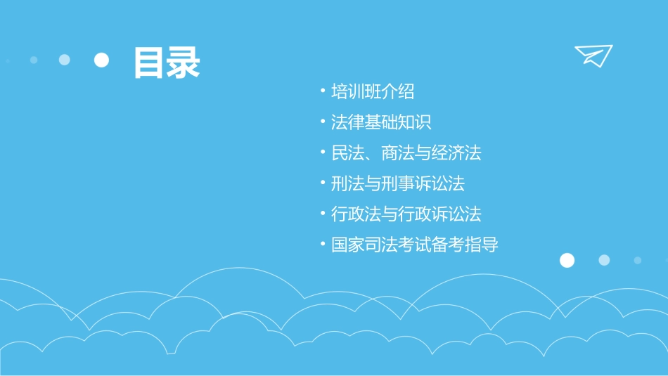 法律课程培训班国家司法考试网_第2页