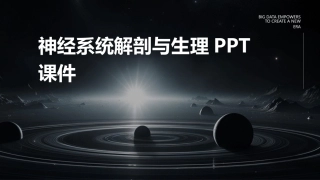 神经系统解剖与生理PPT课件